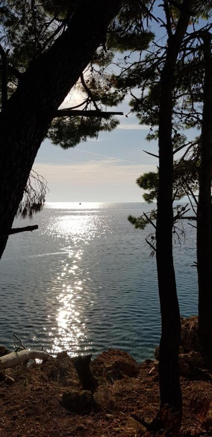 Luxury Apartment Spa "Marina" Makarska Ngoại thất bức ảnh