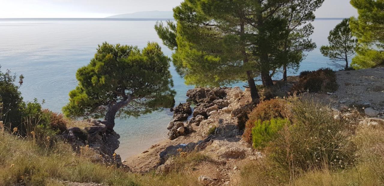 Luxury Apartment Spa "Marina" Makarska Ngoại thất bức ảnh